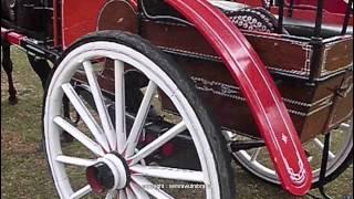 Bendi - Indonesian Traditional vehicles with two wheels pulled by a Horse