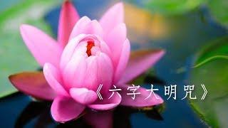 《六字大明咒108遍》Six-Character Great Bright Mantra (108 times)｜佛曲｜雨揚老師