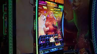 The NEW S'more Money Slot Bonus is MADNESS! #slots #casino #lasvegas
