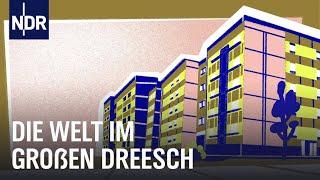 Leben im Hochhaus - Dreesch 1 - 3  | Doku | NDR Story