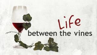 Life Between the Vines Promo 2018