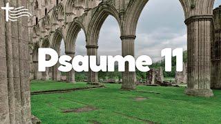 Psaume 11 • Protection Divine contre les Trompeurs | Confiance du juste