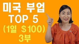 하루 $100불 미국 숨은 부업 BEST 5(부업 3탄) ㅣTop 5 Easy Side Hustles Anyone Can Do in America