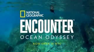 National Geographic ENCOUNTER | The Ultimate Undersea Experience