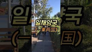 [운남성] 하나의 마을안에 두개의 국가가 공존하는 곳 #중국여행 #일채양국