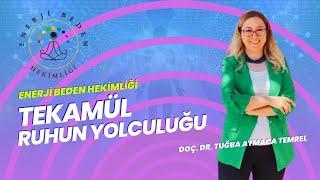 Tekamül Nedir? Bilgi Dolu Bir Yolculuğa Hazır Mısınız?
