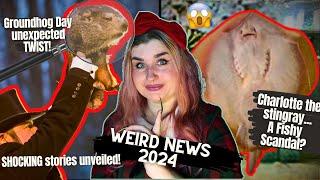 2024’s Weirdest News: Charlotte the Stingray Scandal, Groundhog Drama & Leap Year Mysteries!