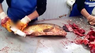 SUPER! Разделка рыбы сазана карпа по-атырауски (рынок Коктем) / Cutting Fillet Fish carp in Atyrau