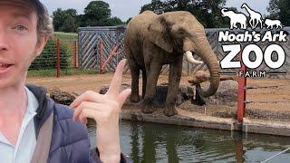 Noah's Ark Zoo Farm June 2023 Vlog