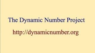 Overview of the Dynamic Number Project