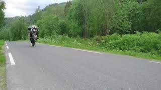 Honda CRF1000L Africa Twin | Wheelie | Remus Okami Slip On