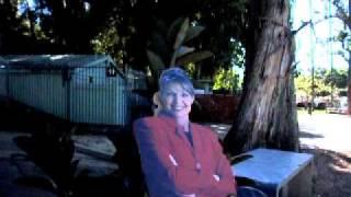 Screenplays, Blogs, Movies - Write a Sarah Palin Book by Thomas Chi