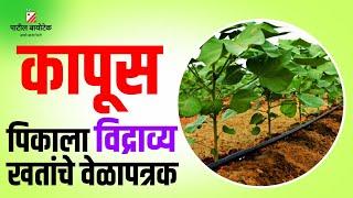 कापूस पिकाला विद्रव्य खतांचे वेळापत्रक (kapus pikala vidravya khatanche velapatrak ) #patilbiotech