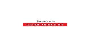 Qué se vota en las elecciones generales 2019