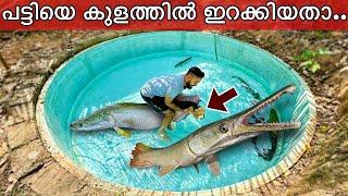 അരപൈമ നമ്മുടെ പട്ടിയെ തിന്നാൻ നോക്കി!! | Gaint Arapaima attacked our Dog