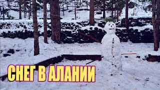 СНЕГ В АЛАНИИ, Орман Парк, Лучший ресторан в Алании, жизнь в Турции, Лучшая баранина в Алании Аланья
