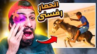 الحمار رفسني في عيني وكانت هتروح فيها  كوارث مروان #1