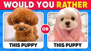 Would You Rather...? ANIMALS Edition  Quiz Kingdom
