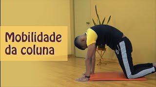 Mobilidade Articular da Coluna | Rodrigo Lopes