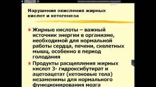 Лекция