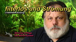 Benötige ich beim filterlosen Aquarium eine Strömungspumpe?