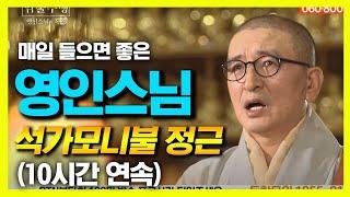 영인스님의 석가모니불 정근 (10시간 연속 독경)