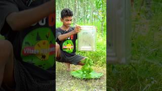 Fire Green Chicken Recipe | Full Chicken Tandoori Crazy Idea | Village Boys Cooking Power Shorts.