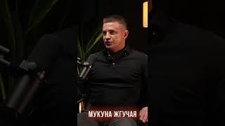 Гуарана и мукуна жгучая  #shorts