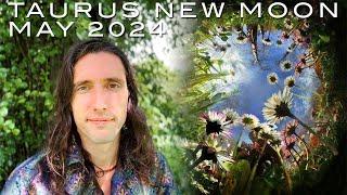 Astrology of May 2024 - Taurus New Moon, Out of the Funnel With Brand New Eyes & Settling Into Form