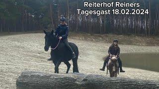 Reiterhof Reiners Tagesgast 18.02.24