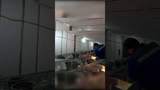 Обжигаем клетки.