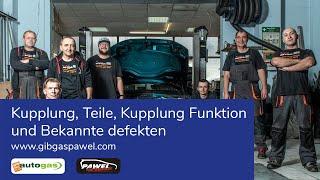 Kupplung, Teile, Kupplung Funktion und Bekannte defekten. Gibgas Pawel Autowerkstatt Muenchen.