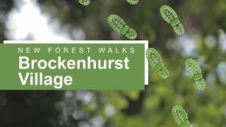 New Forest walks: Brockenhurst village