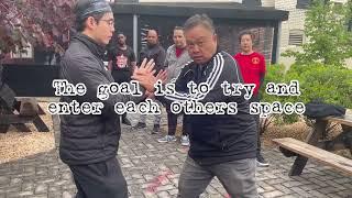 World Tai Chi Day 2023