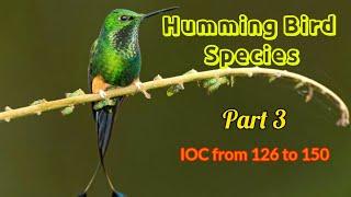 Humming Bird species | Part 3 | IOC from 126 to 150| 4K