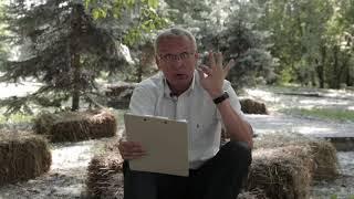 Алексей Караваев