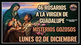 46 ROSARIOS A LA VIRGEN DE GUADALUPE: MISTERIOS GOZOSOS - GUADALUPANO / LUNES 02 DICIEMBRE 2024.