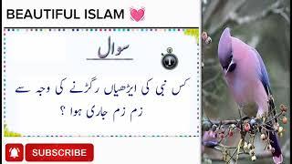 Islamic Quiz | Islamic General knowledge Questions | Islamic important information in Urdu