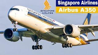 First time aboard SINGAPORE AIRLINES Airbus A350-900 - FLIGHT REPORT (2024)