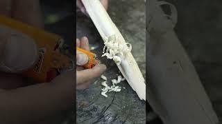 How To Make Fire With A Broken Lighter  Part 4 #survival #bushcraft #outdoorskills #survivalskills