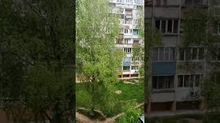 26 мая 2022 Боровуха-1