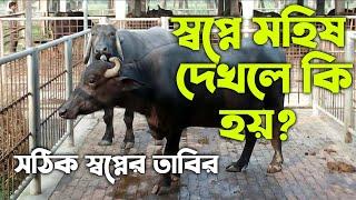 স্বপ্নে মহিষ দেখলে কি হয় | shopne mohish dekhle ki hoy | স্বপ্নের ব্যাখ্যা | shopner bekkha | dream