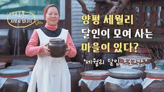 양평 세월리 달인이 사는 마을? [달인] 이야기 │마을 체험│치유농업│힐링체험│세월초등학교│양평 귀농귀촌│세월정미소│미래학교│농촌학교│꽃들농장│발효달인│김치달인│원예달인│그림달인