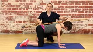 How to Perform the Bird Dog Exercise