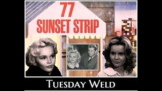 Tuesday Weld (77 Sunset Strip)