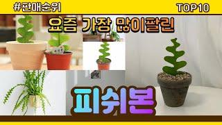 피쉬본 추천 판매순위 Top10 || 가격 평점 후기 비교