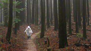 Japan / Shikoku Henro / Hiking Temples 20 - 21 on a rainy day