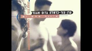 ערן צור - קיץ