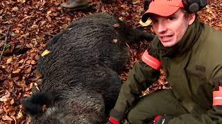 Wild boar fever VI  part 1