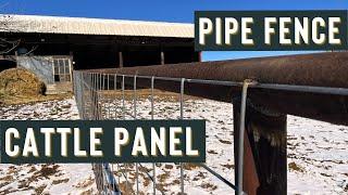 Pipe Fence & Cattle Panel